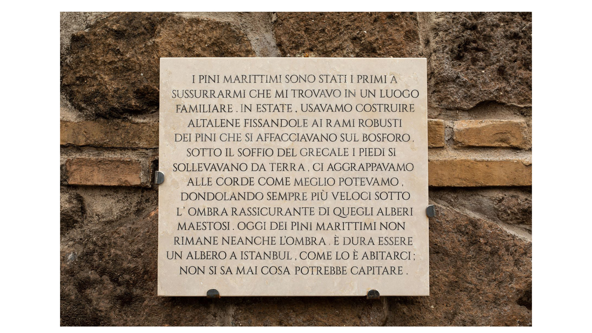 Esra Ersen, LeDueRome (PINIE), 2020 © Villa Massimo, Alberto Novelli