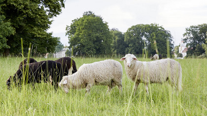 Ostern auf Schloss Neuhardenberg