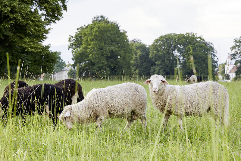 Ostern auf Schloss Neuhardenberg